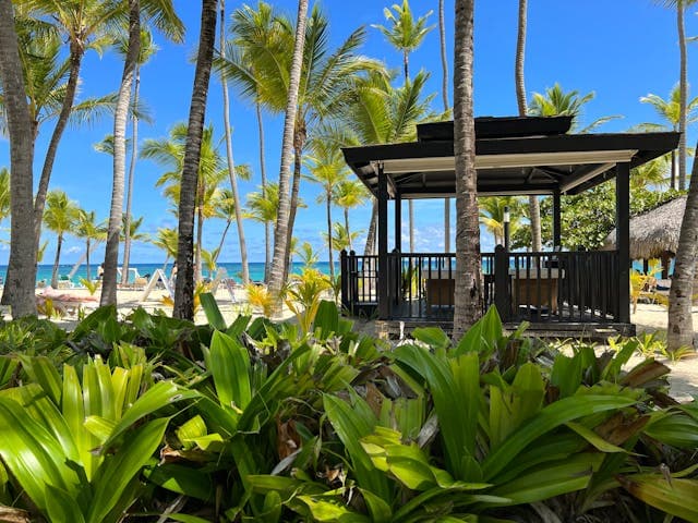 Visit the Beaches of Punta Cana